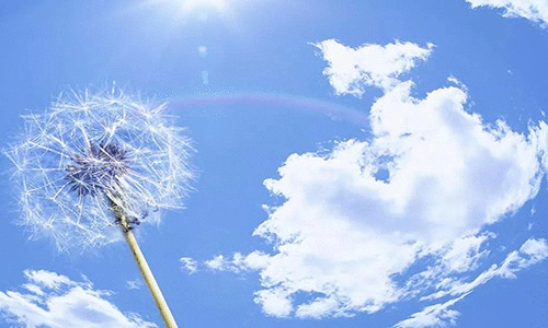 1556601435503.gif 1556601435503.gif